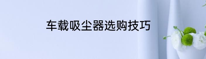 车载吸尘器选购技巧