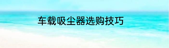 车载吸尘器选购技巧