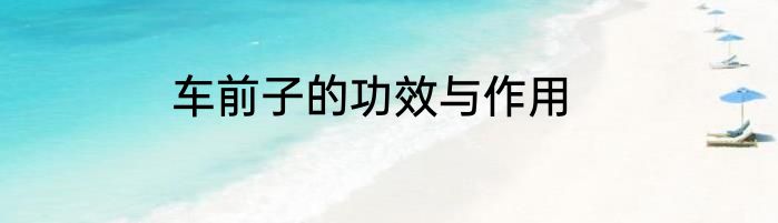 车前子的功效与作用