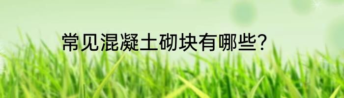 常见混凝土砌块有哪些？