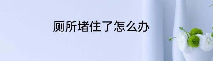 厕所堵住了怎么办