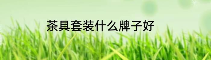 茶具套装什么牌子好