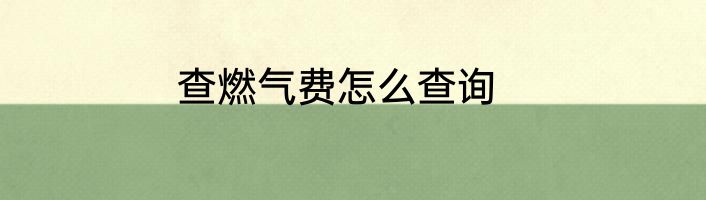查燃气费怎么查询