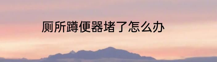 厕所蹲便器堵了怎么办