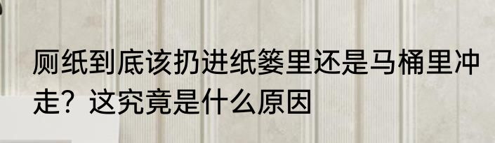 厕纸到底该扔进纸篓里还是马桶里冲走？这究竟是什么原因