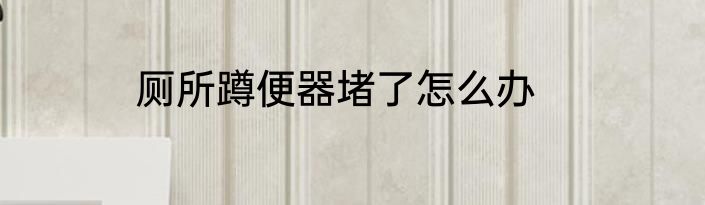 厕所蹲便器堵了怎么办