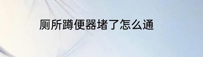 厕所蹲便器堵了怎么通