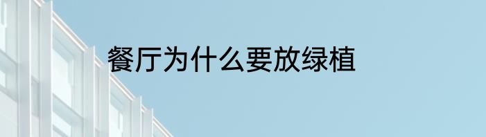 餐厅为什么要放绿植