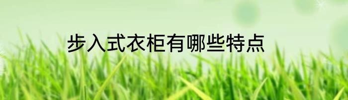 步入式衣柜有哪些特点