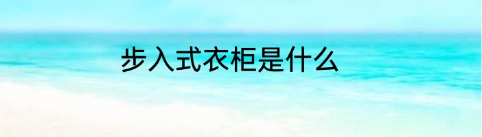 步入式衣柜是什么