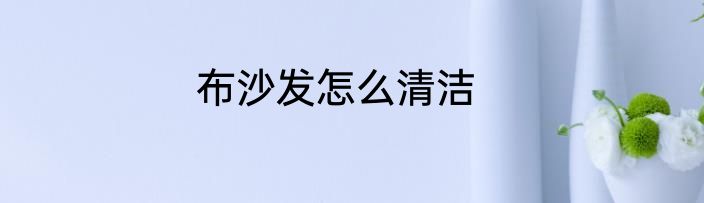 布沙发怎么清洁