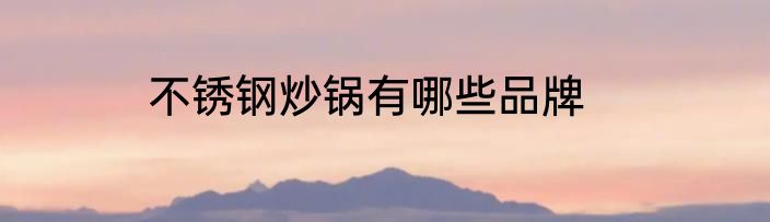 不锈钢炒锅有哪些品牌