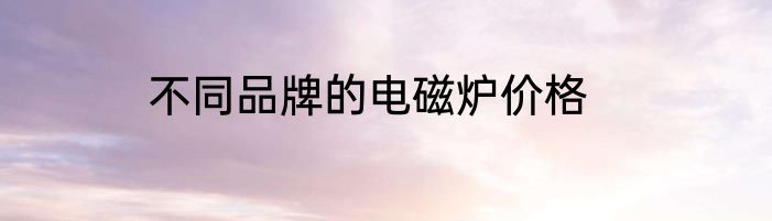 不同品牌的电磁炉价格
