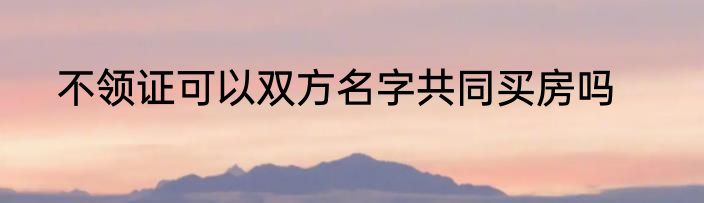 不领证可以双方名字共同买房吗