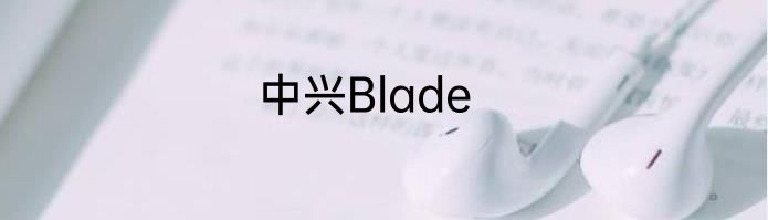 中兴Blade
