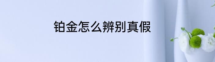 铂金怎么辨别真假