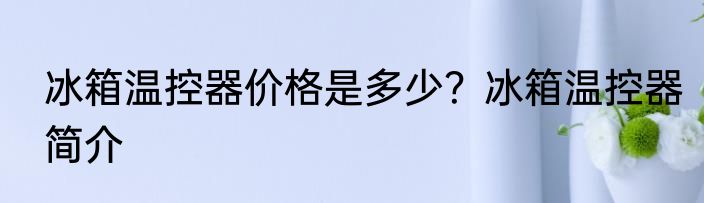 冰箱温控器价格是多少？冰箱温控器简介