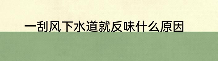 一刮风下水道就反味什么原因