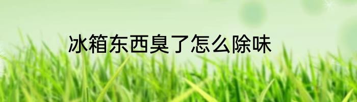 冰箱东西臭了怎么除味