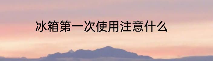 冰箱第一次使用注意什么