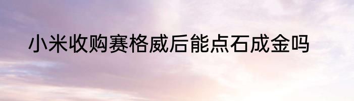 小米收购赛格威后能点石成金吗