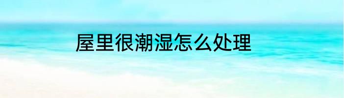 屋里很潮湿怎么处理
