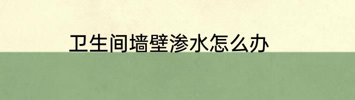 卫生间墙壁渗水怎么办