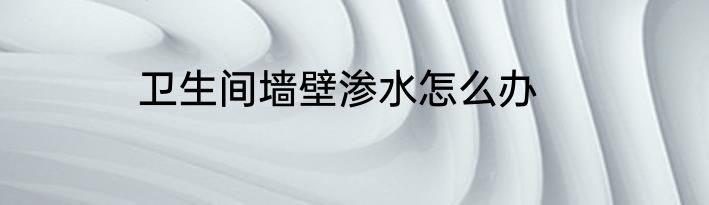 卫生间墙壁渗水怎么办