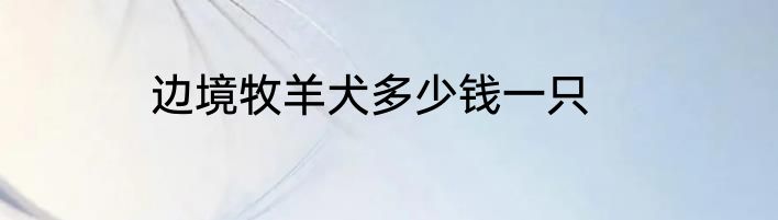 边境牧羊犬多少钱一只