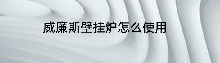 威廉斯壁挂炉怎么使用