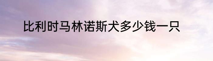 比利时马林诺斯犬多少钱一只
