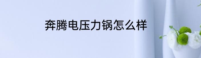奔腾电压力锅怎么样