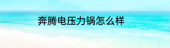 奔腾电压力锅怎么样