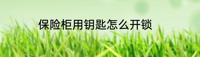保险柜用钥匙怎么开锁