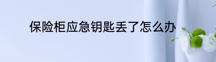 保险柜应急钥匙丢了怎么办