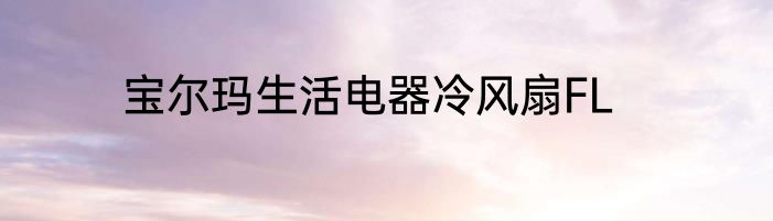 宝尔玛生活电器冷风扇FL