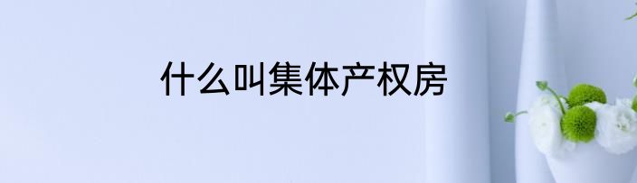 什么叫集体产权房