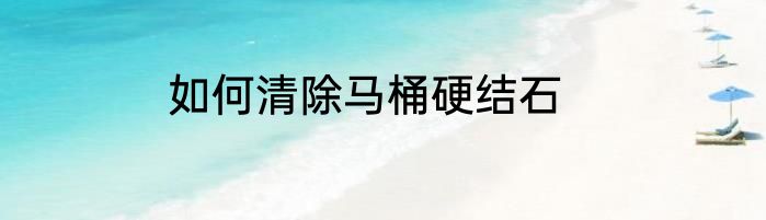 如何清除马桶硬结石