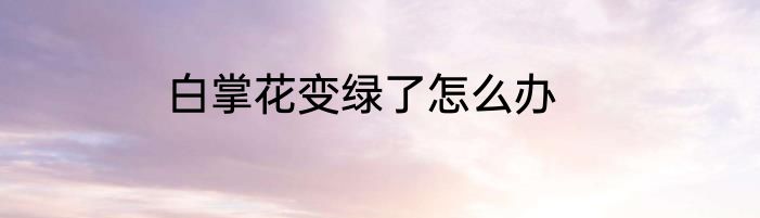 白掌花变绿了怎么办