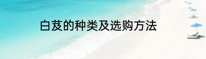 白芨的种类及选购方法