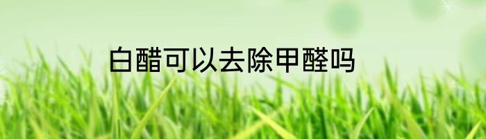 白醋可以去除甲醛吗