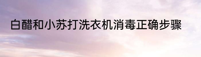 白醋和小苏打洗衣机消毒正确步骤