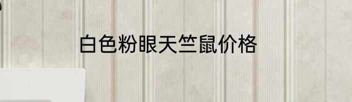 白色粉眼天竺鼠价格