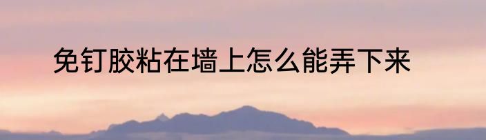 免钉胶粘在墙上怎么能弄下来