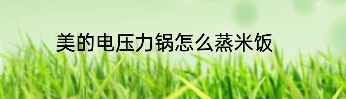 美的电压力锅怎么蒸米饭