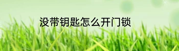 没带钥匙怎么开门锁