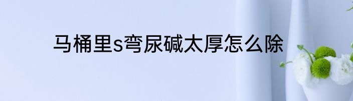 马桶里s弯尿碱太厚怎么除