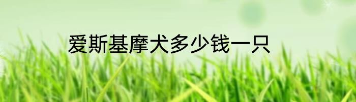 爱斯基摩犬多少钱一只