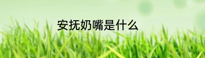安抚奶嘴是什么