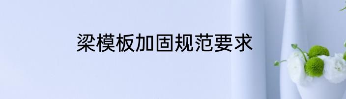 梁模板加固规范要求